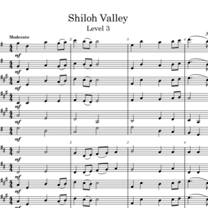 Shiloh Valley (Level 3)
